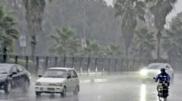 القاهرة تسجل 19 درجة مئوية مع عودة الأجواء الشتوية نهاية الأسبوع الحالي